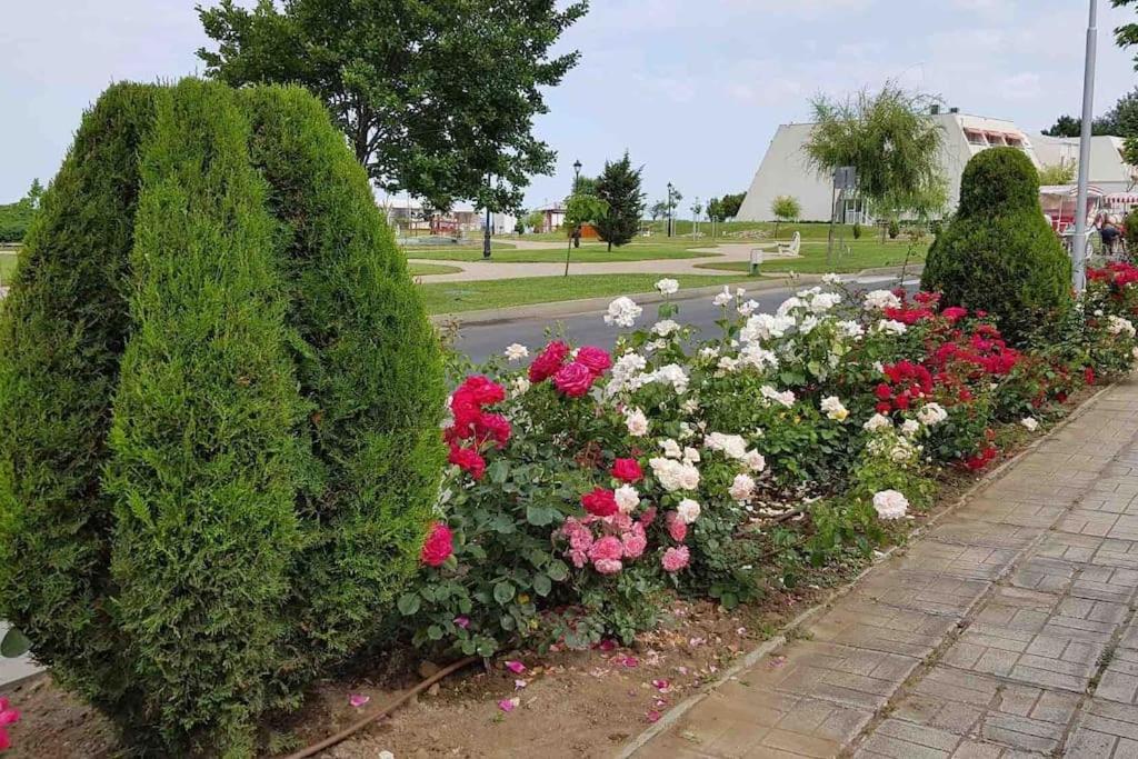 Апартамент Ели Obzor Bagian luar foto