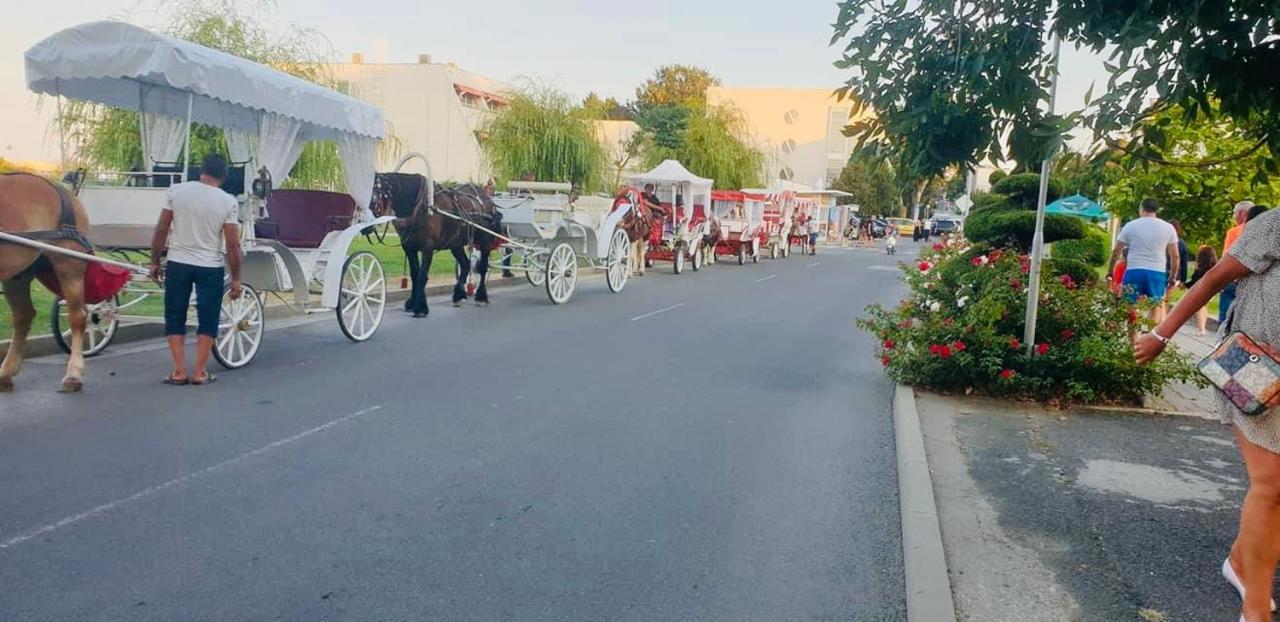Апартамент Ели Obzor Bagian luar foto